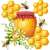 Korunga Balı